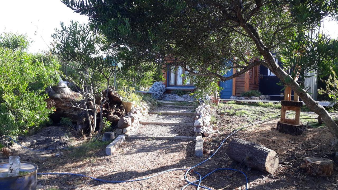 Verde Viento La Paloma Εξωτερικό φωτογραφία