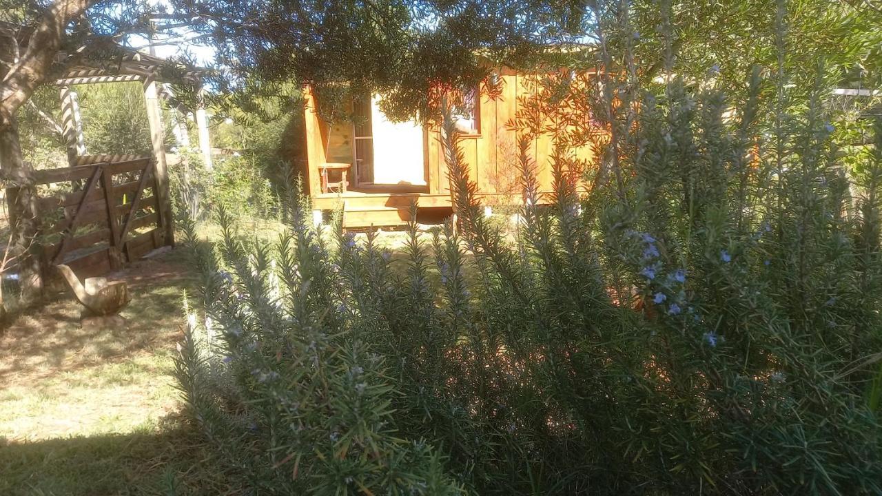 Verde Viento La Paloma Εξωτερικό φωτογραφία